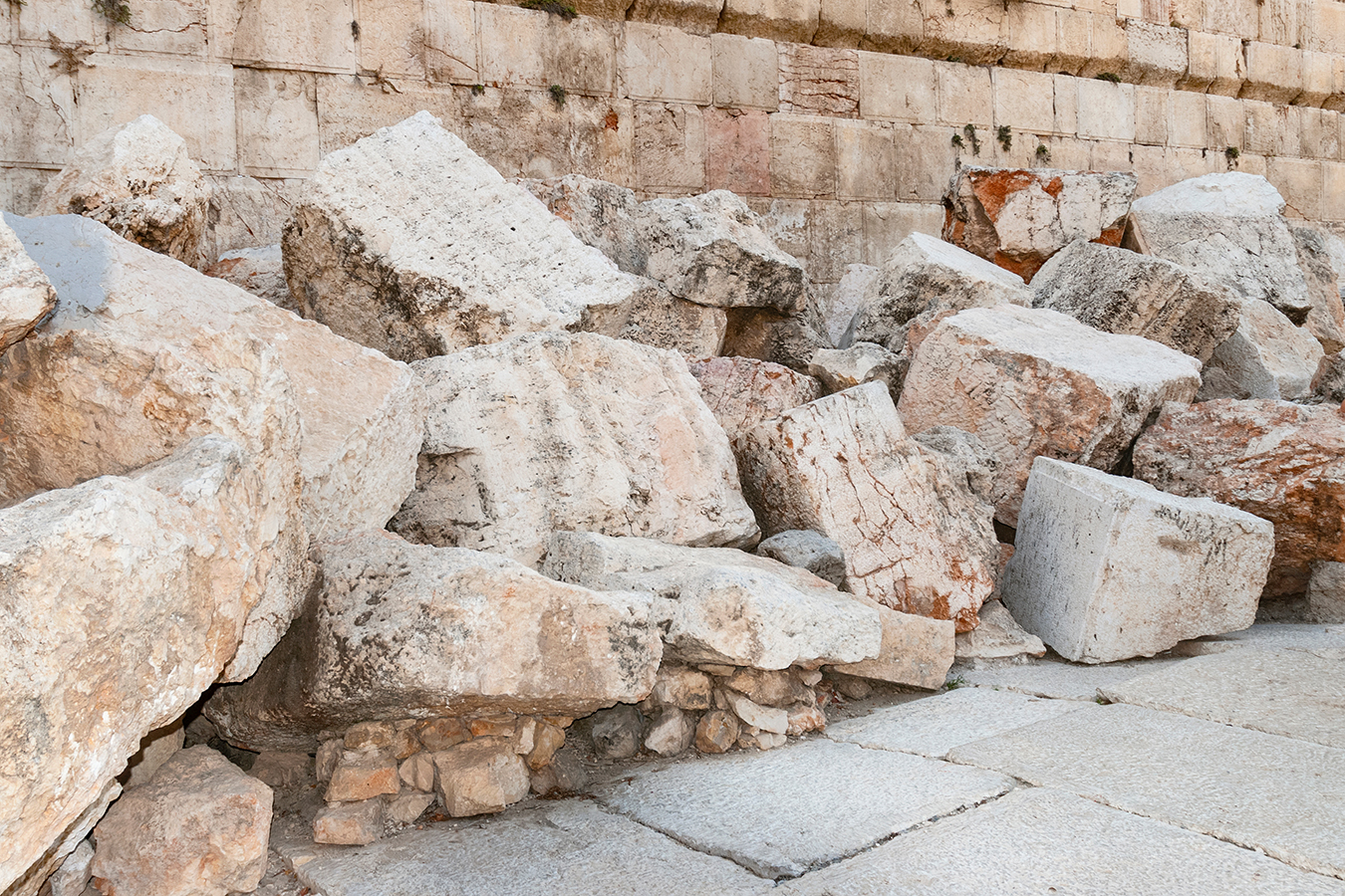Special for Tisha b'Av Journeys in Torah